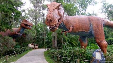 Dino world florida - Dedicated to the prehistoric giants of the past, Dinosaur World Florida is a unique theme park that offers 20 lush acres of meandering pathways to explore. Find yourself surrounded by more than 200 life-size dinosaur replicas and interactive activities, including a bone yard, prehistoric museum, a skeletal playground, and more. 